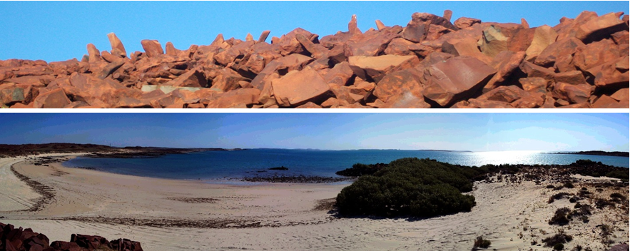 BURRUP-HEADER1