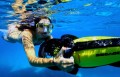 Snorkel Ningaloo